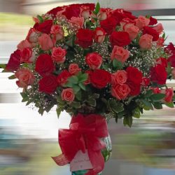 50 ROSAS