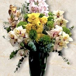 ORQUIDEAS