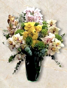 ORQUIDEAS
