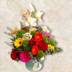 Gerberas y orquídeas